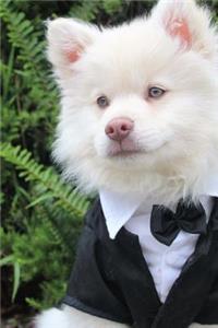 Adorable White Puppy Dog Dressed Up in a Tuxedo Journal