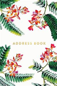 Address Book