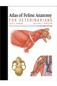 Atlas of Feline Anatomy for Veterinarians