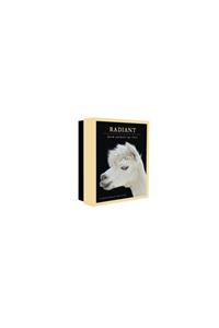 Radiant Notecards