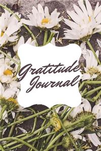 My Gratitude Journal