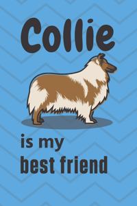 Collie is my best friend