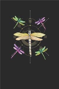 Dragonflies