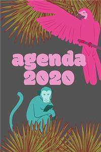 Agenda 2020