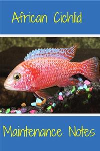 African Cichlid Maintenance Notes