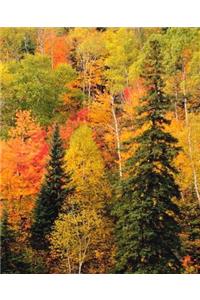 School Composition Book Fall Foliage Valley Autumn Season 130 Pages