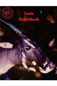 Saola Sketchbook