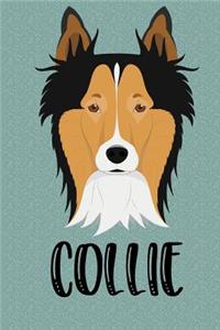 Collie