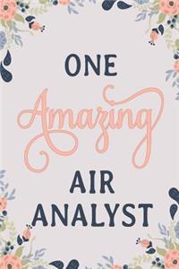 One Amazing Air Analyst