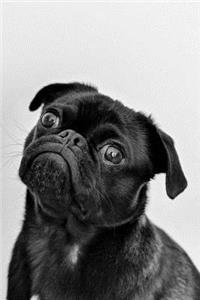 Pug Dot Grid Journal