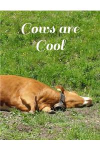 Cows Are Cool