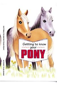 Getting to Know Your Pony