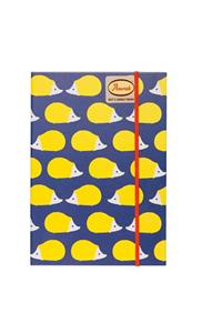 Anorak Out & About Book