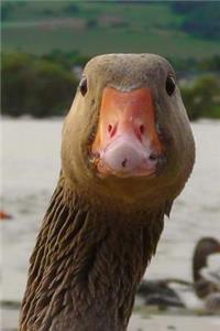 Curious Goose says Hello! Water Bird Journal