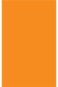 Tangerine 101 - Blank Notebook