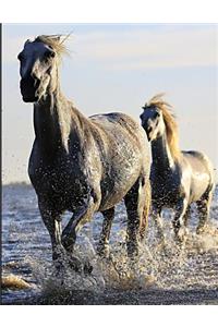 Horses in the Sea