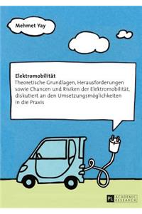 Elektromobilitaet: Theoretische Grundlagen, Herausforderungen Sowie Chancen Und Risiken Der Elektromobilitaet, Diskutiert an Den Umsetzungsmoeglichkeiten in Die Praxis
