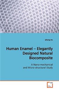 Human Enamel - Elegantly Designed Natural Biocomposite