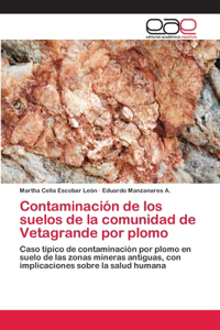 Contaminación de los suelos de la comunidad de Vetagrande por plomo