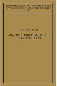 Anatomie Und Physiologie Der Capillaren