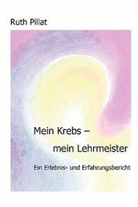 Mein Krebs - mein Lehrmeister