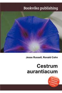 Cestrum Aurantiacum