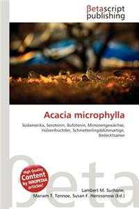 Acacia Microphylla