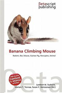 Banana Climbing Mouse