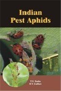 Indian Pest Aphids
