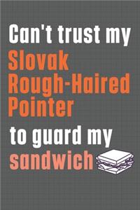 Can't trust my Slovak Rough-Haired Pointer to guard my sandwich