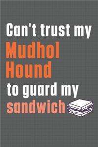 Can't trust my Mudhol Hound to guard my sandwich