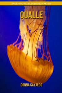 Qualle