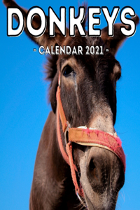 Donkeys Calendar 2021