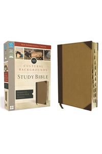 NIV, Cultural Backgrounds Study Bible, Imitation Leather, Indexed