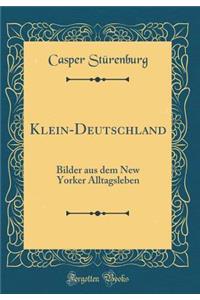 Klein-Deutschland: Bilder Aus Dem New Yorker Alltagsleben (Classic Reprint)