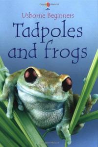 Tadpoles and Frogs