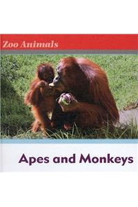 Apes and Monkeys