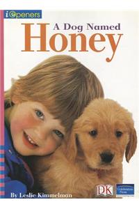 Iopeners a Dog Named Honey Single Grade K 2005c