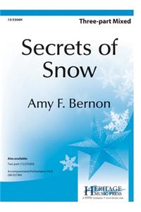 Secrets Of Snow