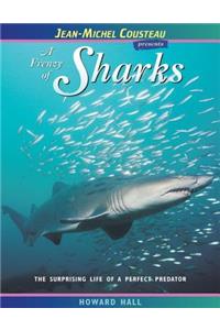 A Frenzy of Sharks