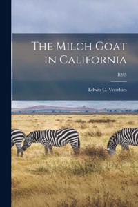 Milch Goat in California; B285