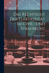 Rechtsgut Der Elektrizität Im Civil- Und Strafrecht