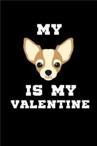 My (Chihuahua) is my Valentine