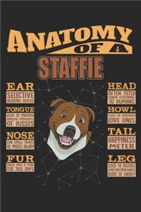 Anatomy Of A Staffie