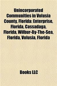 Unincorporated Communities in Volusia County, Florida