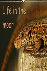 Life in the moor / UK-Version 2016