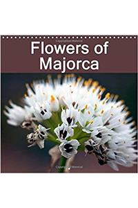 Flowers of Majorca 2017