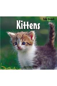 Kittens