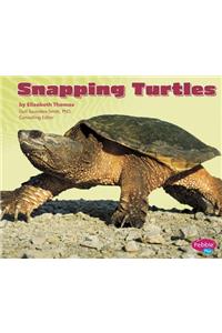 Snapping Turtles