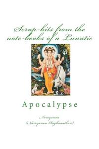 Scrap-bits from the note-books of a Lunatic: Apocalypse